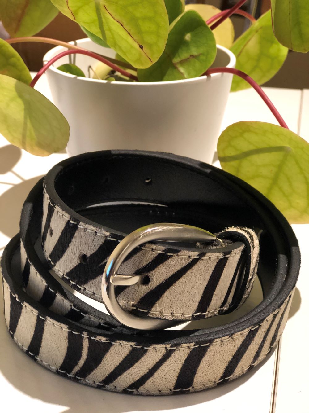 Zebra hair-on-hide leather women belt 